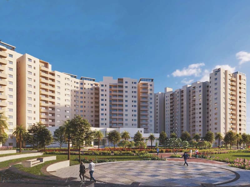 Century Breeze