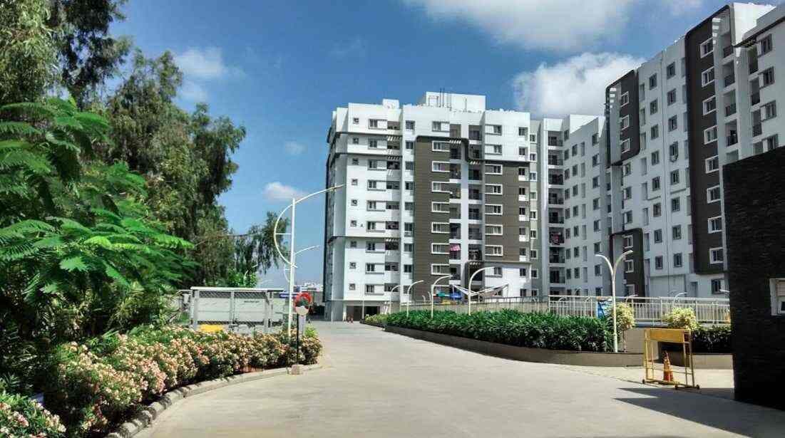 3 BHK Flats For Rent in Bren Avalon