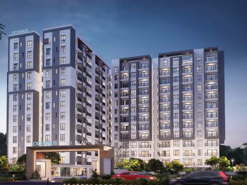 Oceanus White Meadows