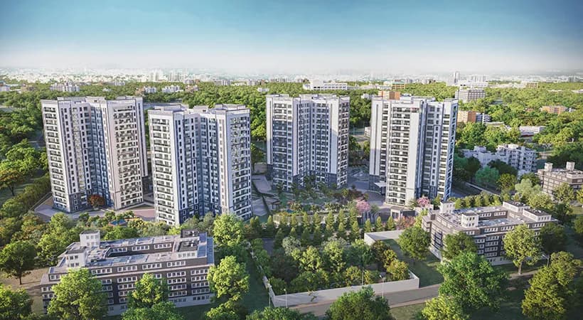 Prestige Pine Forest
