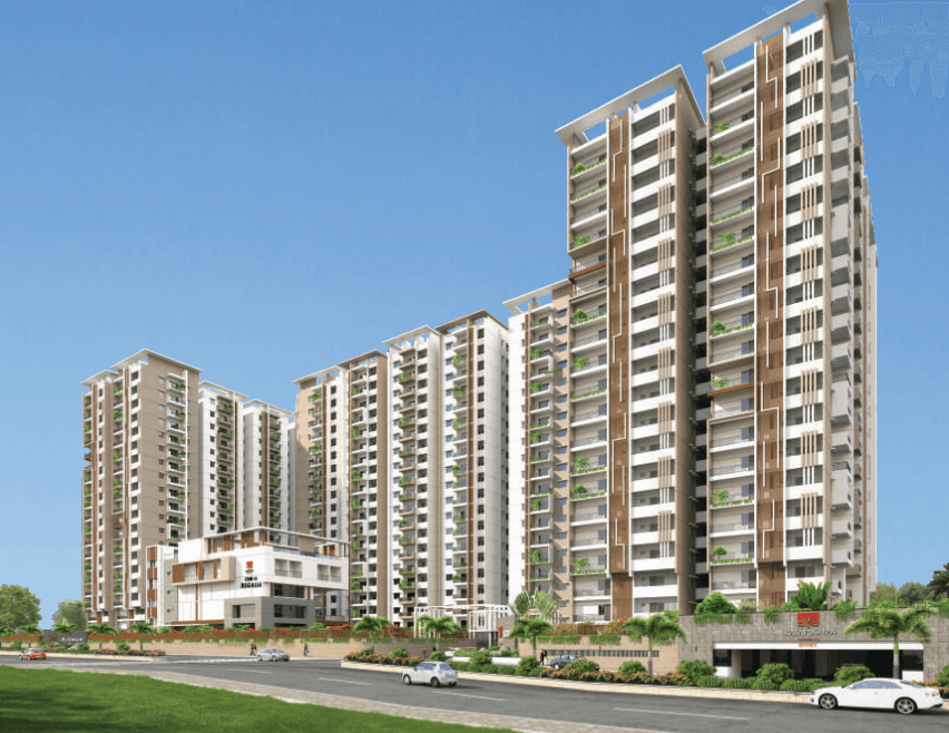 Rajapushpa Regalia