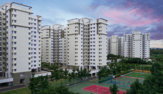 Provident Harmony