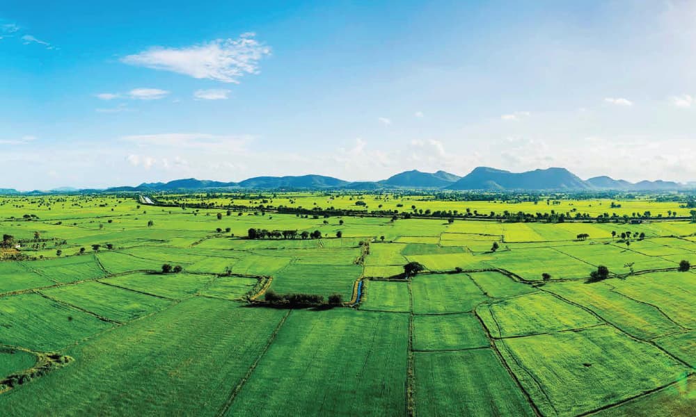 Saroj Serenity