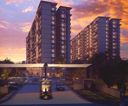 Orchid Lakeview