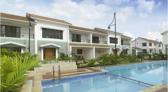 PRESTIGE Bougainville