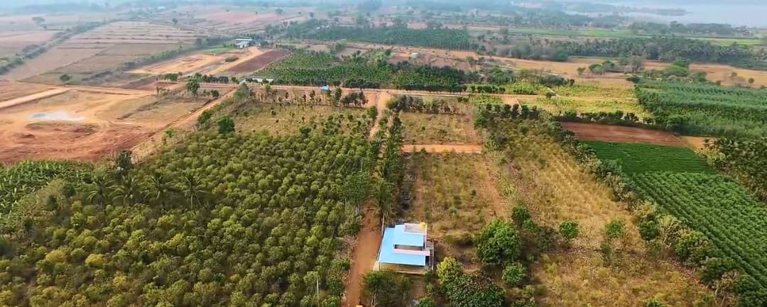 Svamitva Rootopia