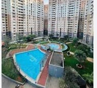 OZONE EVERGREEN - RENTAL