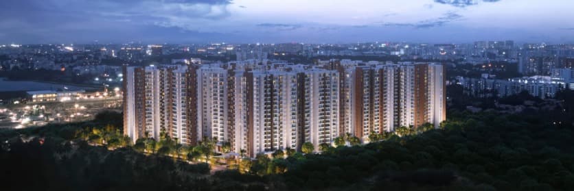 Prestige Evergreen