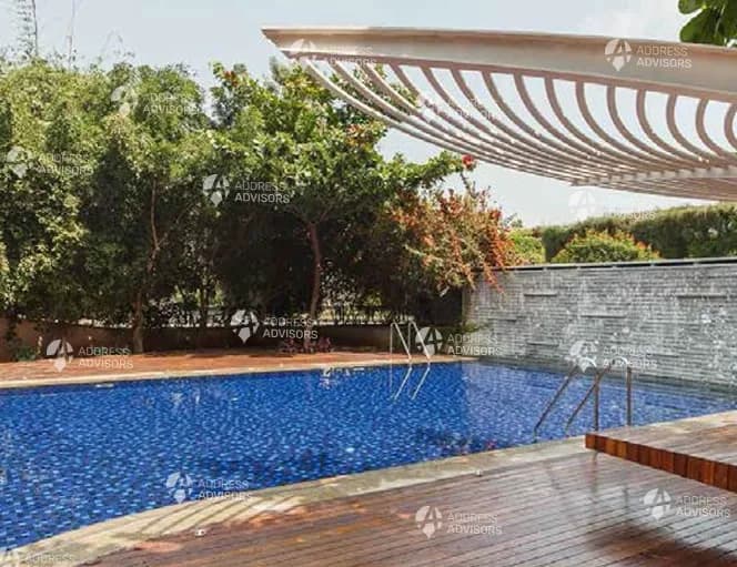 Total Environment The Magic Faraway Tree Swimmimg Pool