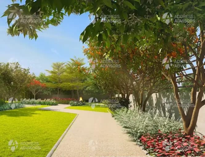 the grand strand address whitefield