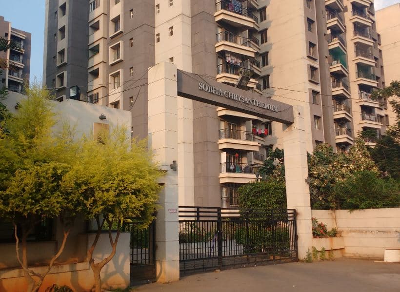 sobha chrysanthemum Entrance