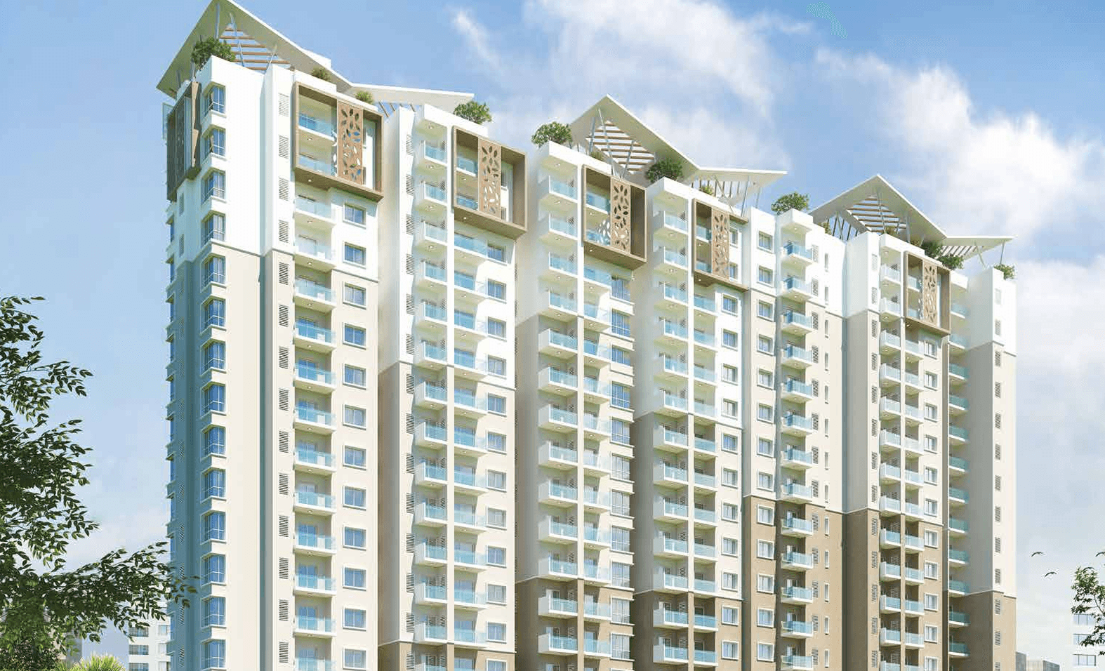 Ahad Opus Back view
