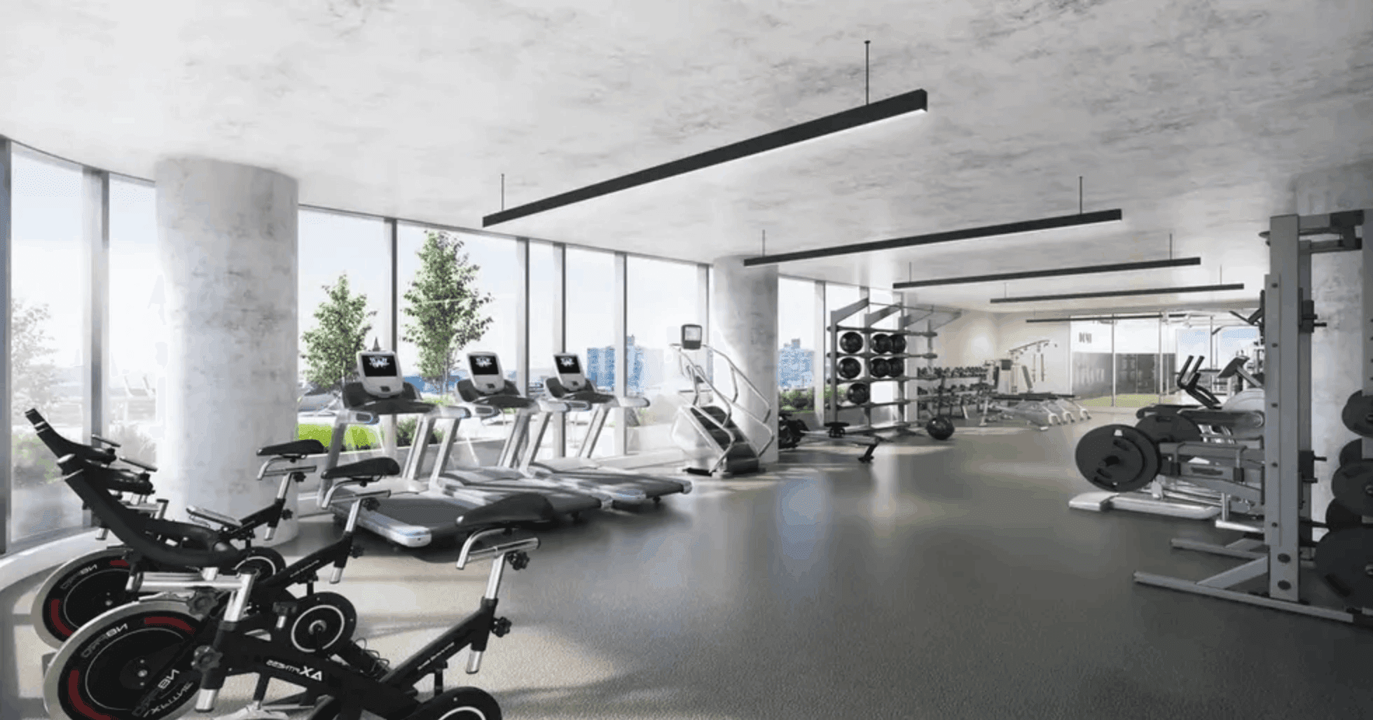 SBR Magnus Gym