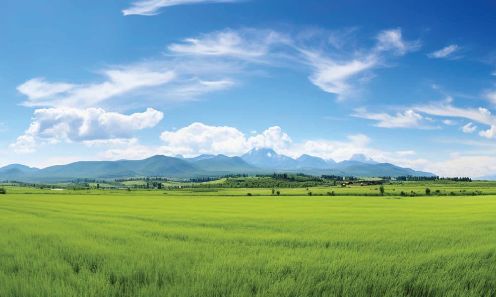 Saroj Serenity Area