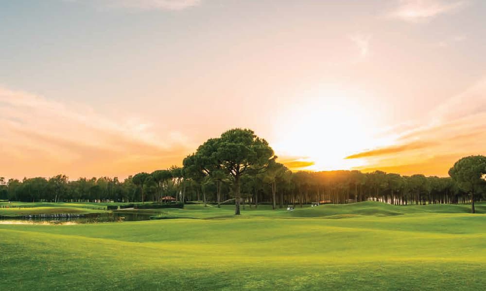 Saroj Serenity Plantation