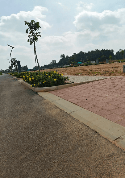 KNS Laurel Phase 2 Plots