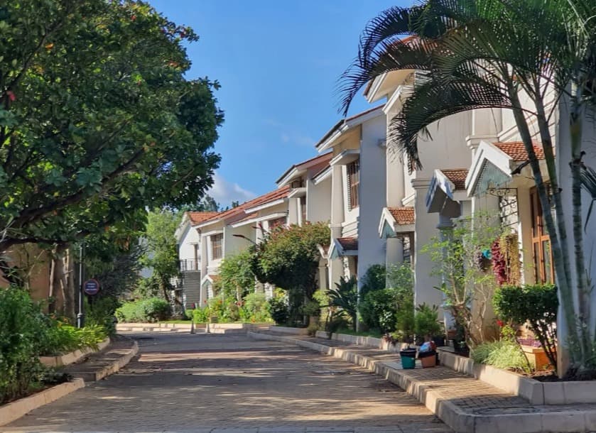 Prestige Bougainville Images