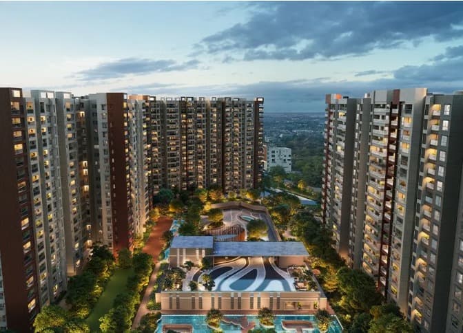 Prestige evergreen